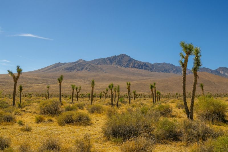 Best Bathroom Remodeling pros in Carol Stream, IL